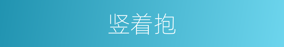 竖着抱的同义词