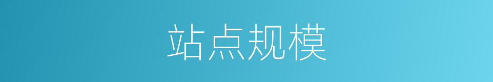 站点规模的同义词