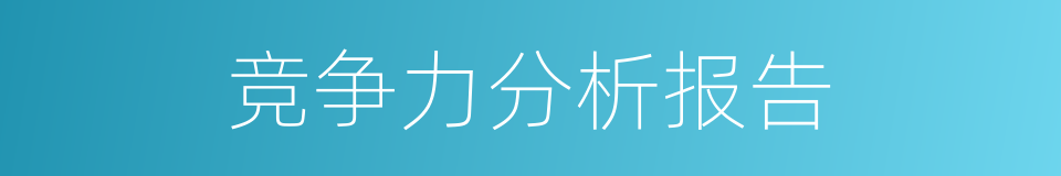 竞争力分析报告的同义词