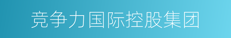 竞争力国际控股集团的同义词
