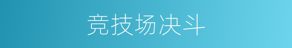 竞技场决斗的同义词