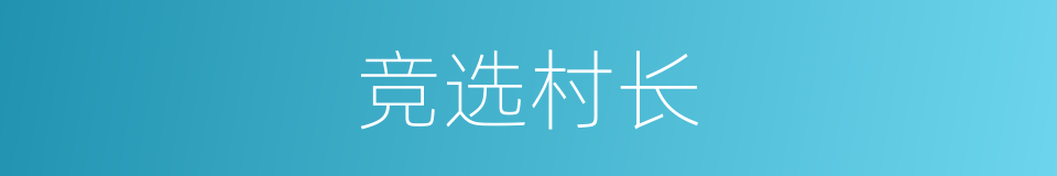 竞选村长的同义词