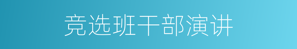 竞选班干部演讲的同义词