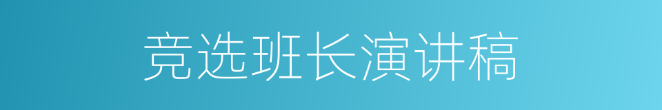 竞选班长演讲稿的同义词