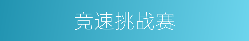 竞速挑战赛的同义词