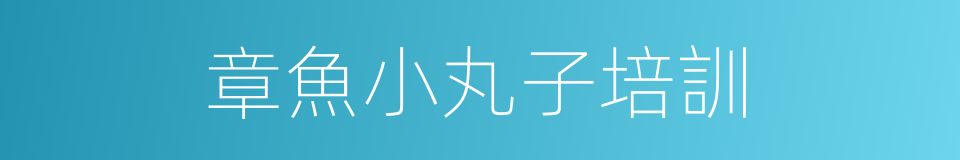 章魚小丸子培訓的同義詞