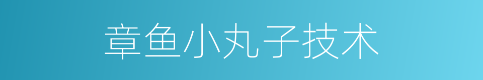 章鱼小丸子技术的同义词