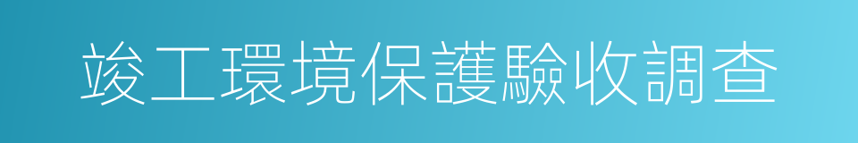 竣工環境保護驗收調查的同義詞