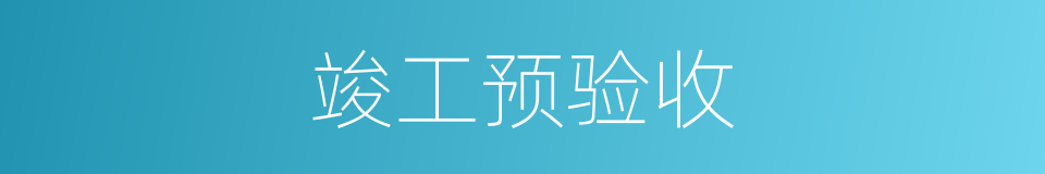 竣工预验收的同义词
