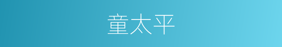 童太平的同义词