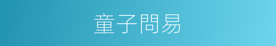 童子問易的同義詞