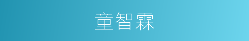 童智霖的同义词