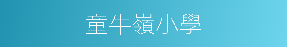童牛嶺小學的同義詞