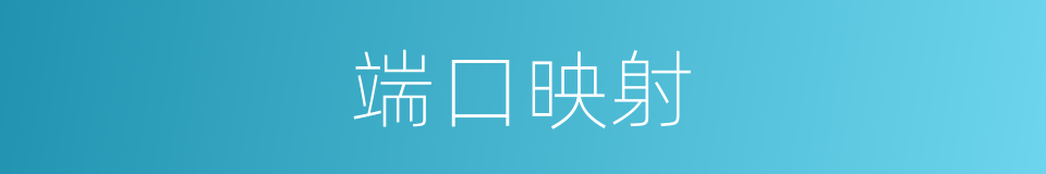 端口映射的意思
