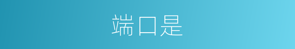 端口是的意思