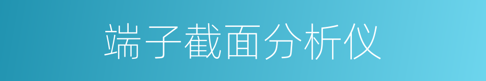 端子截面分析仪的同义词