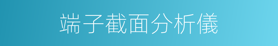 端子截面分析儀的同義詞
