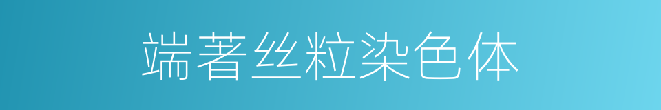 端著丝粒染色体的同義詞