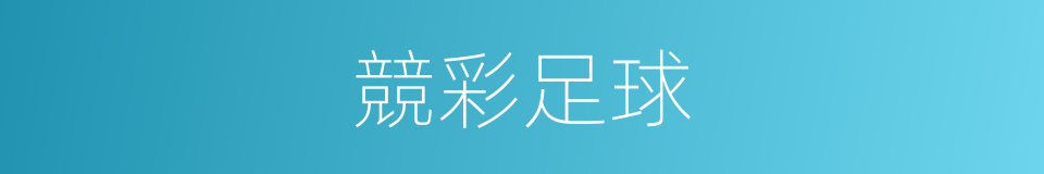 競彩足球的同義詞