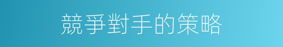 競爭對手的策略的同義詞