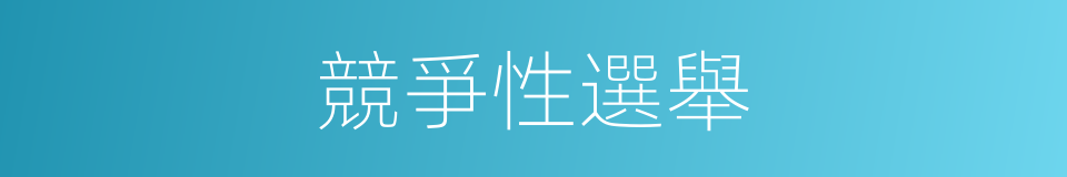 競爭性選舉的同義詞