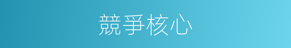 競爭核心的同義詞