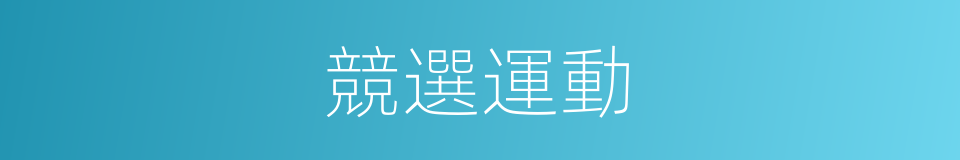 競選運動的同義詞