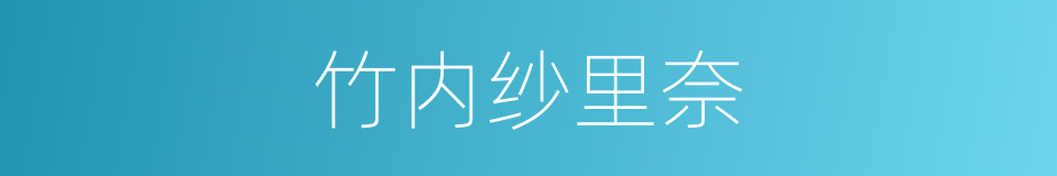 竹内纱里奈的同义词
