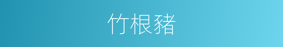 竹根豬的同義詞