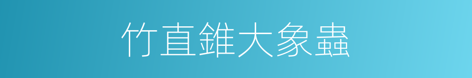 竹直錐大象蟲的同義詞