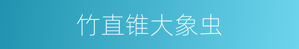 竹直锥大象虫的同义词