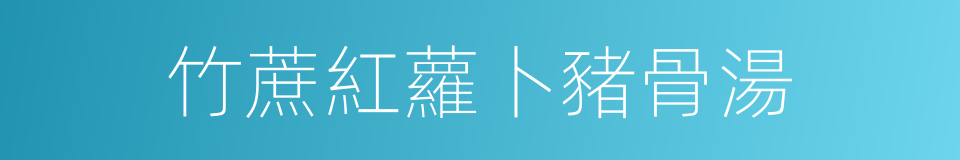 竹蔗紅蘿卜豬骨湯的同義詞