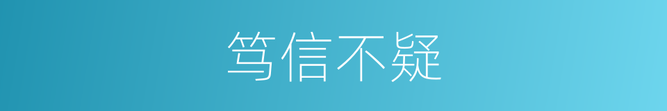 笃信不疑的同义词