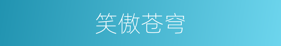 笑傲苍穹的同义词