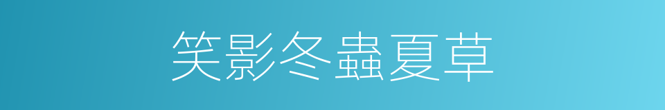 笑影冬蟲夏草的同義詞