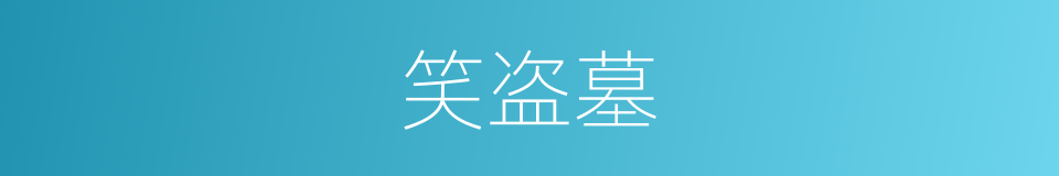 笑盗墓的同义词