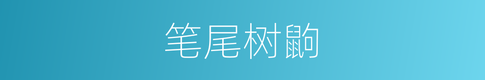笔尾树鼩的同义词