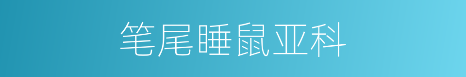 笔尾睡鼠亚科的同义词