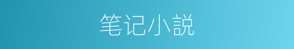 笔记小説的同义词