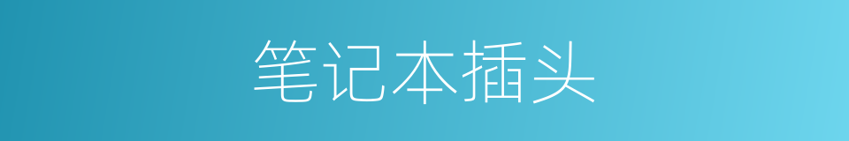 笔记本插头的同义词