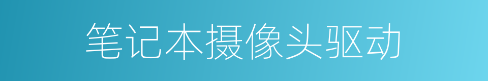 笔记本摄像头驱动的同义词