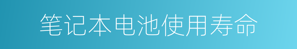 笔记本电池使用寿命的同义词