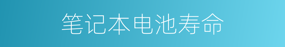笔记本电池寿命的同义词
