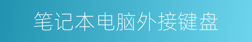 笔记本电脑外接键盘的同义词