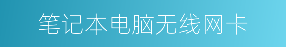 笔记本电脑无线网卡的同义词