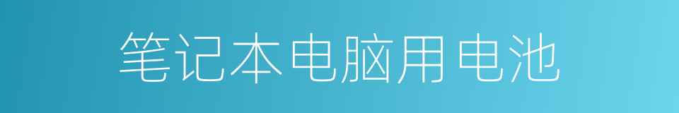笔记本电脑用电池的同义词