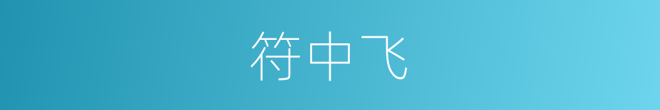 符中飞的同义词