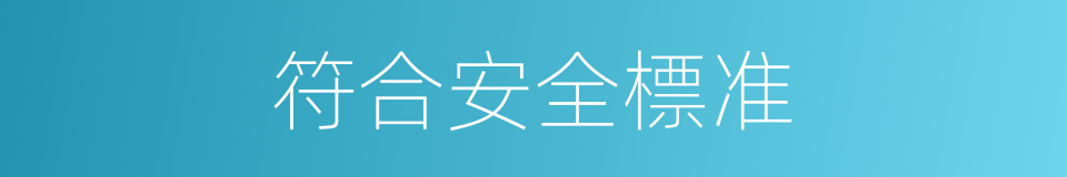 符合安全標准的同義詞