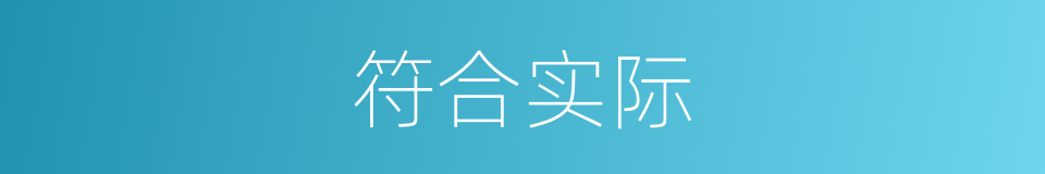 符合实际的同义词