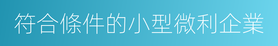 符合條件的小型微利企業的同義詞